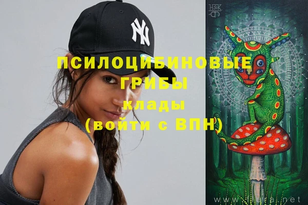 PSILOCYBIN Верхнеуральск