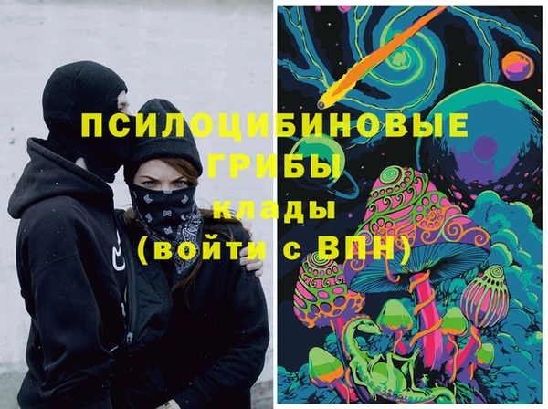 PSILOCYBIN Верхнеуральск